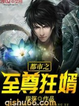 都市之至尊狂婿小说