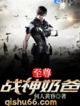 至尊战神奶爸小说