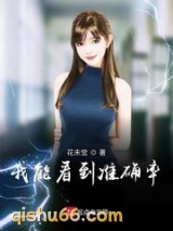 我能看到准确率小说