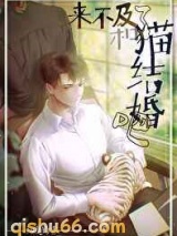 来不及了和猫结婚吧小说