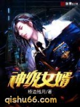 神级女婿小说