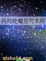 我的使魔是咒术师小说