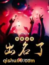 我就这样出名了小说