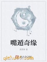 嘴遁奇缘小说