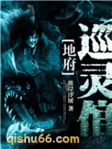 地府巡灵倌小说