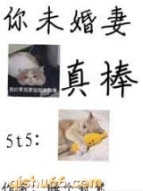 你未婚妻真棒小说