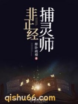 非正经捕灵师小说