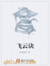 飞云诀小说