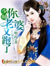 少帅你老婆又跑了小说