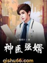 神医强婿小说