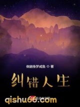纠错人生小说