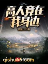 高人竟在我身边小说