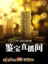鉴宝直播间小说