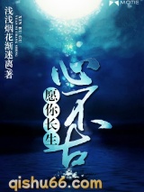 愿你长生心不古小说