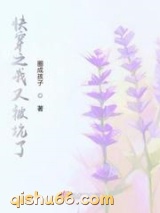 快穿之我又被坑了小说