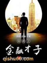 归档之金融才子小说