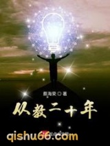从教二十年小说