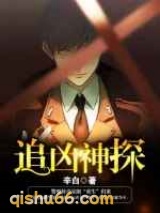 追凶神探小说