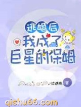 逃婚后我成了巨星的保姆小说