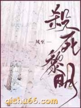 杀死黎明小说