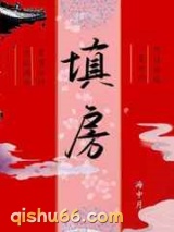 填房小说