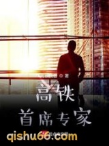 高铁首席专家小说