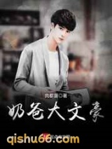 奶爸大文豪小说