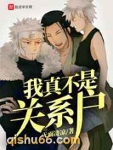 我真不是关系户小说