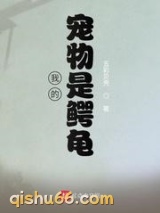 我的宠物是鳄龟小说