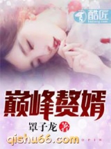 巅峰赘婿小说