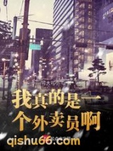 我真的是一个外卖员啊小说
