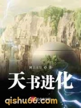 天书进化小说