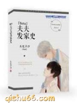 Beta夫夫发家史小说