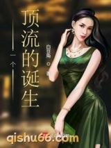 一个顶流的诞生小说