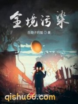 全境污染小说