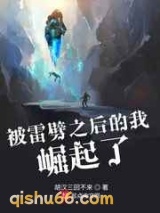 被雷劈之后的我崛起了小说