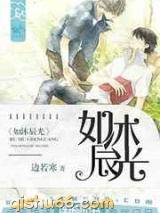 如沐辰光小说