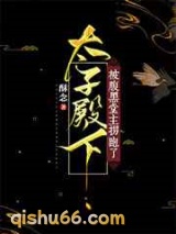 太子殿下被腹黑堂主拐跑了小说