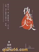 伪装夫夫小说