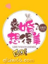 离婚？想得美小说