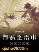 海贼之雷电法王艾尼路小说