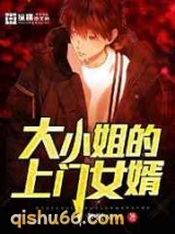 大小姐的上门女婿小说