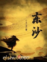 东沙小说