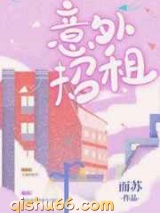 意外招租小说