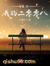 重回我的二零零八小说
