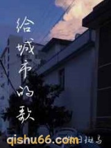给城市的歌小说