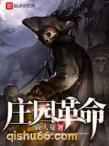 庄园革命小说