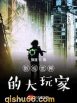 影视世界的大玩家小说