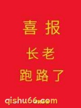 喜报，长老跑路了小说