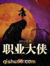 职业大侠小说